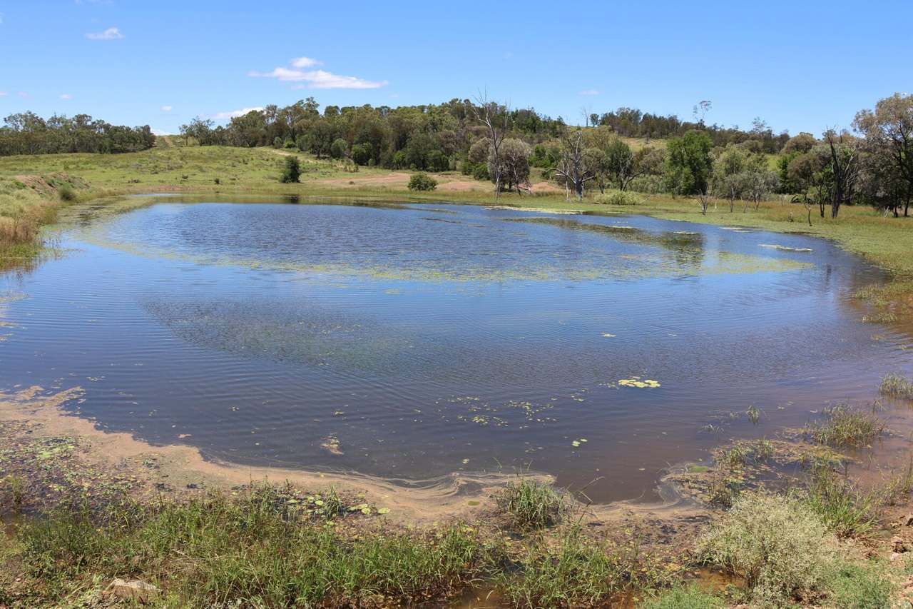 32221 Capricorn Highway, Willows Sold by Farmbuy.com - image 19