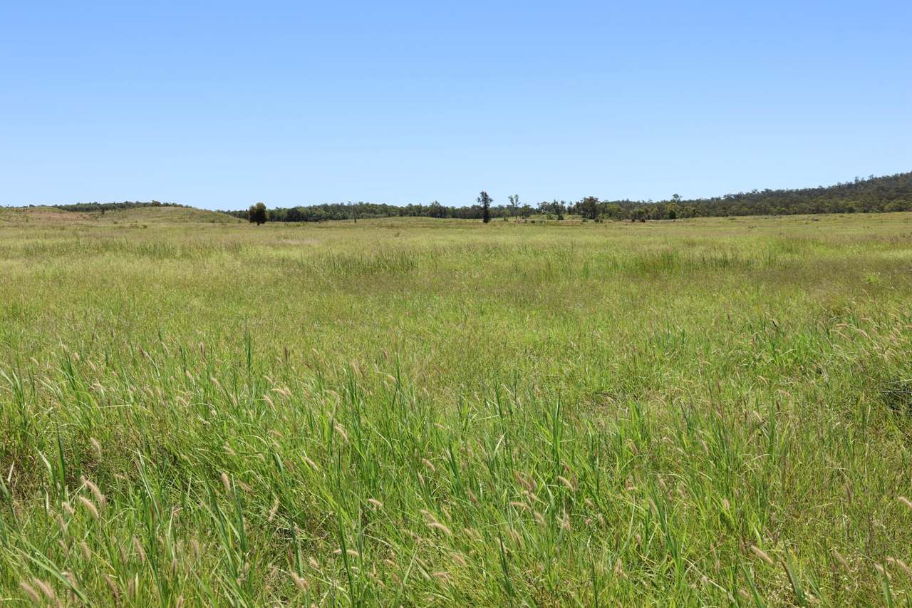 32221 Capricorn Highway, Willows Sold by Farmbuy.com - image 4