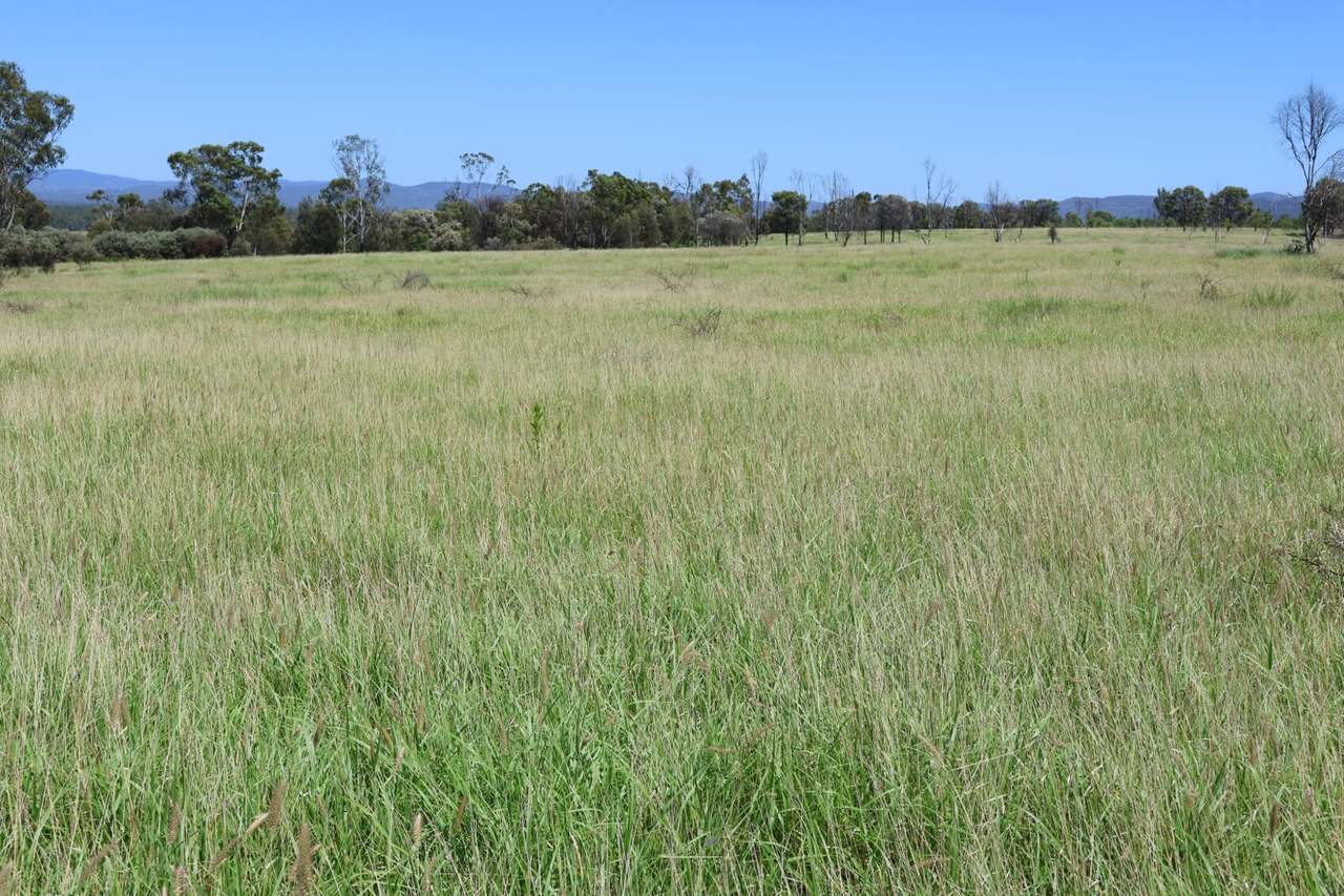 32221 Capricorn Highway, Willows Sold by Farmbuy.com - image 11