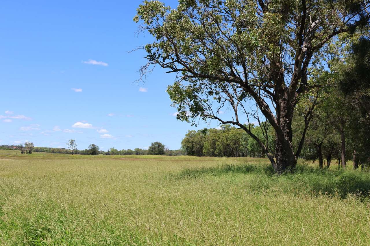 32221 Capricorn Highway, Willows Sold by Farmbuy.com - image 3