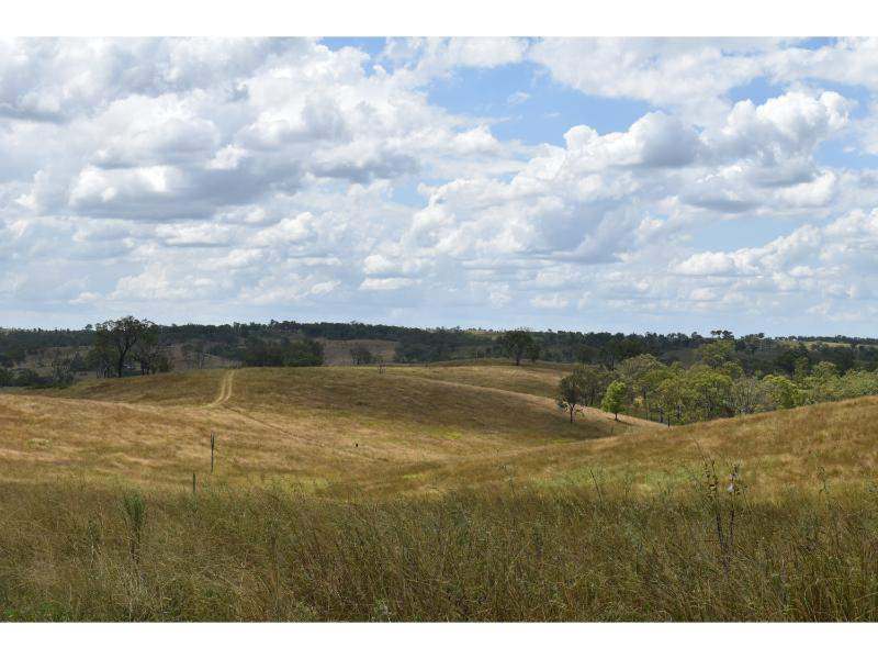 The Bluff Road, Crows Nest For Sale by Farmbuy.com - image 19