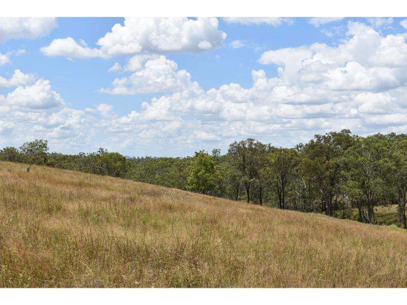 The Bluff Road, Crows Nest For Sale by Farmbuy.com - image 7