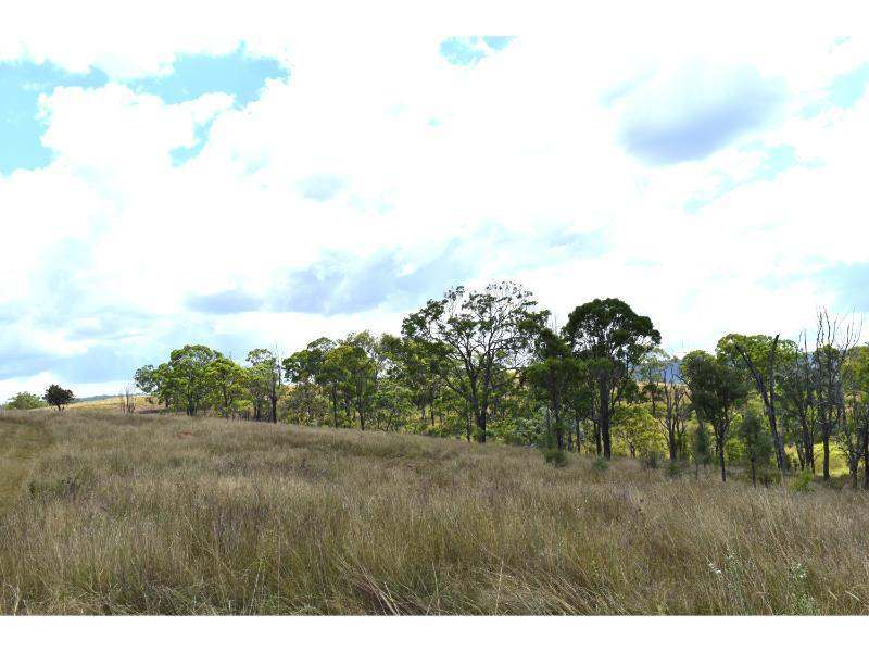 The Bluff Road, Crows Nest For Sale by Farmbuy.com - image 17