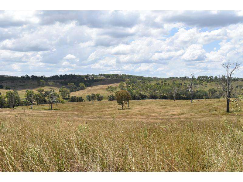 The Bluff Road, Crows Nest For Sale by Farmbuy.com - image 8