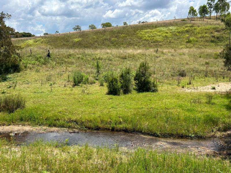 The Bluff Road, Crows Nest For Sale by Farmbuy.com - image 11