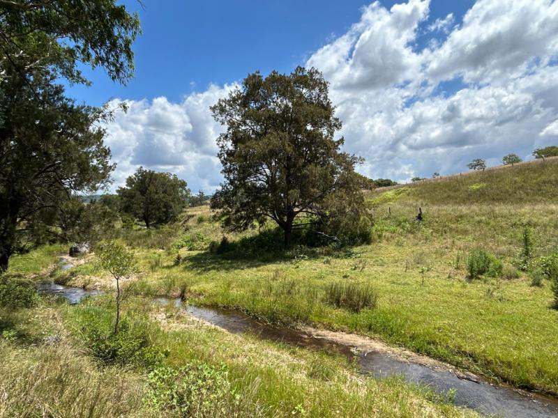 The Bluff Road, Crows Nest For Sale by Farmbuy.com - image 12