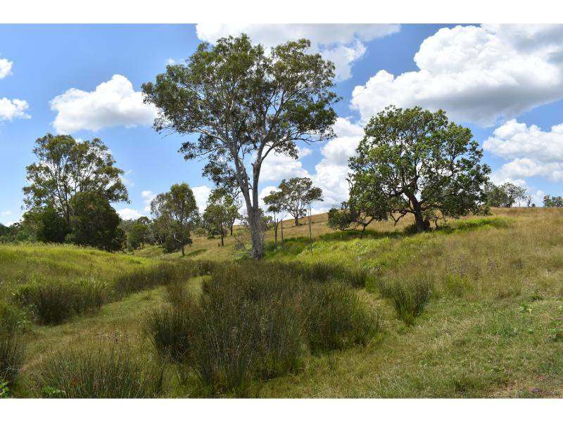 The Bluff Road, Crows Nest For Sale by Farmbuy.com - image 24