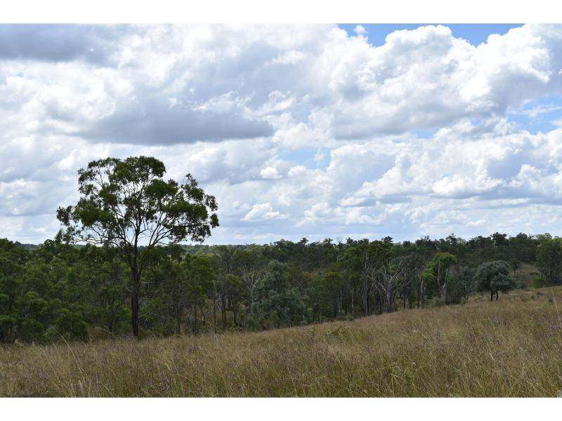 The Bluff Road, Crows Nest For Sale by Farmbuy.com - image 18