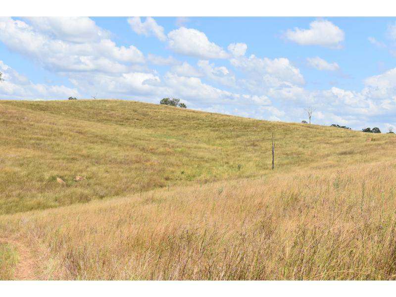 The Bluff Road, Crows Nest For Sale by Farmbuy.com - image 15