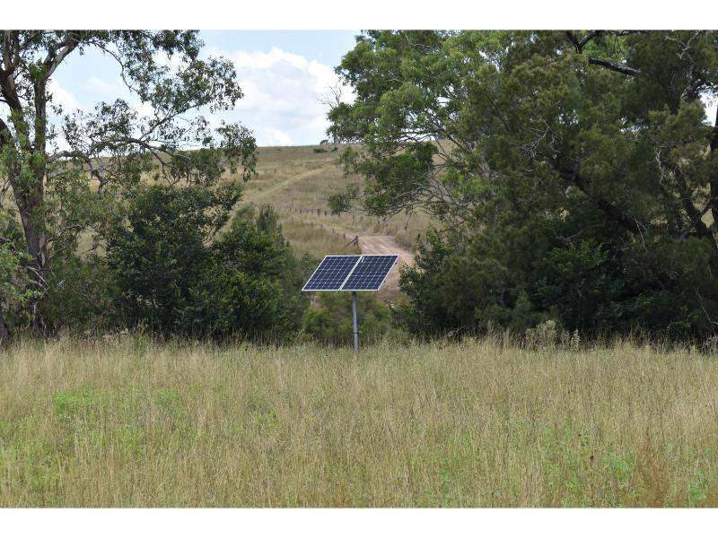 The Bluff Road, Crows Nest For Sale by Farmbuy.com - image 27