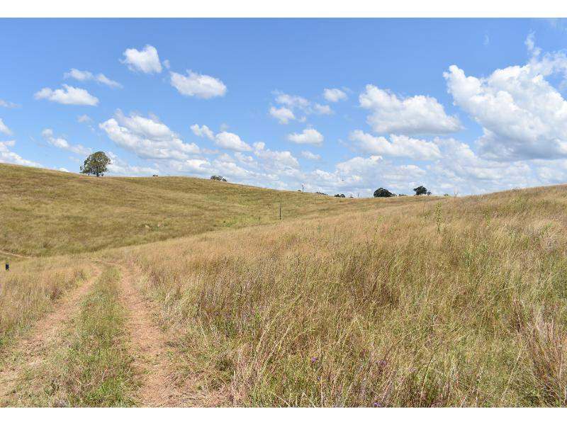 The Bluff Road, Crows Nest For Sale by Farmbuy.com - image 14