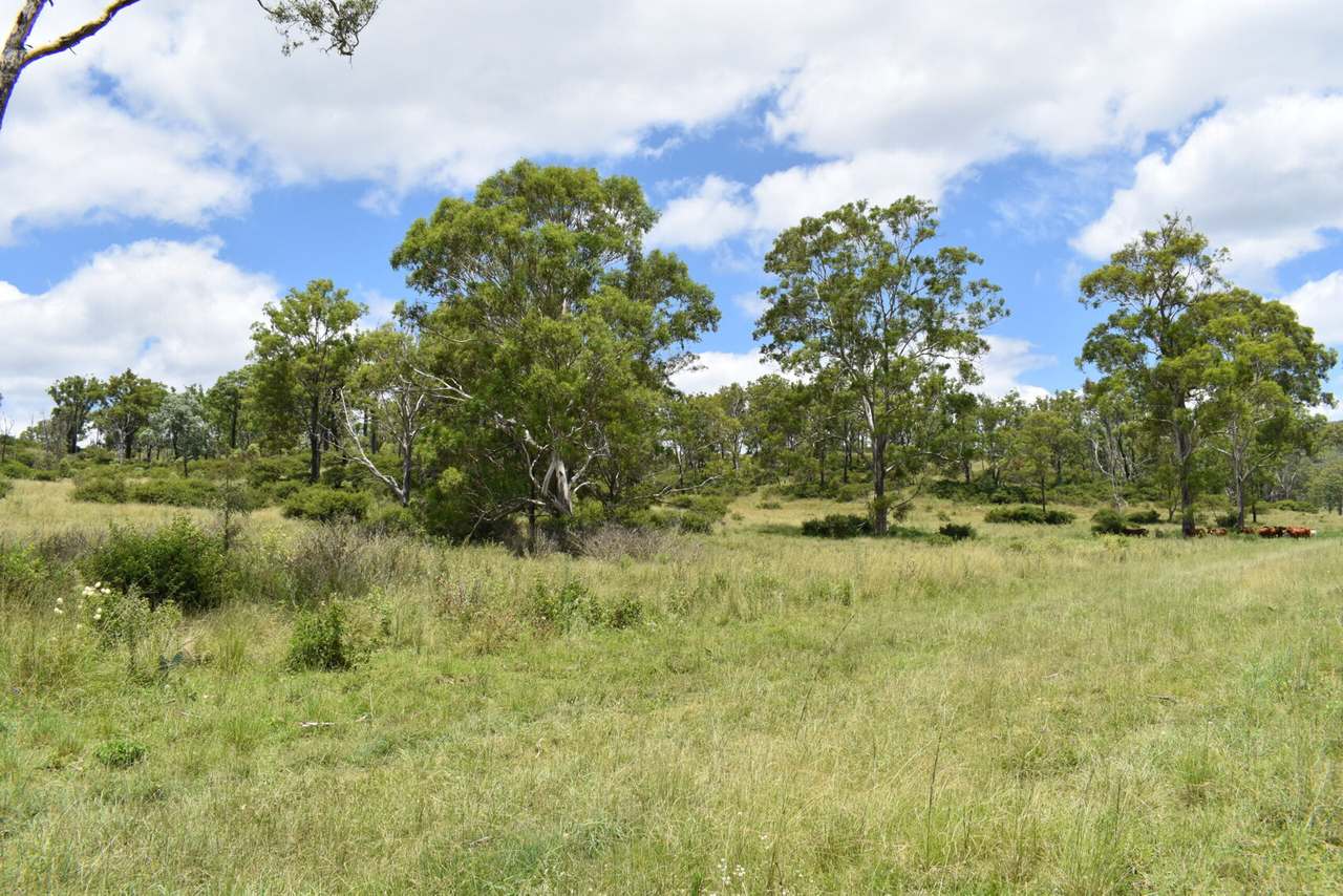 341 Sebastapool Road, Crows Nest For Sale by Farmbuy.com - image 6