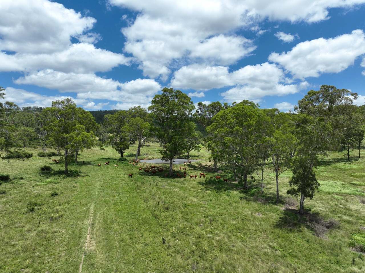 341 Sebastapool Road, Crows Nest For Sale by Farmbuy.com - image 29