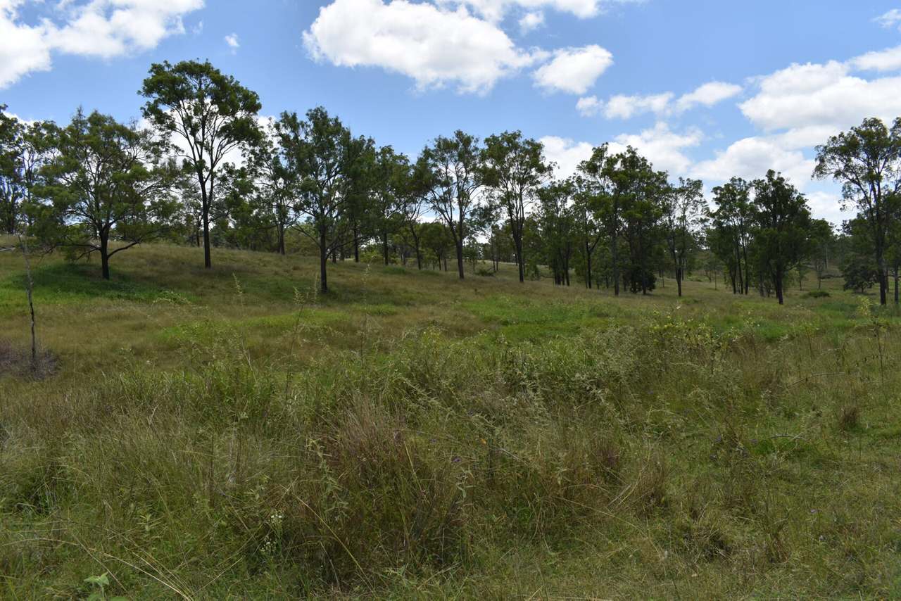 341 Sebastapool Road, Crows Nest For Sale by Farmbuy.com - image 13
