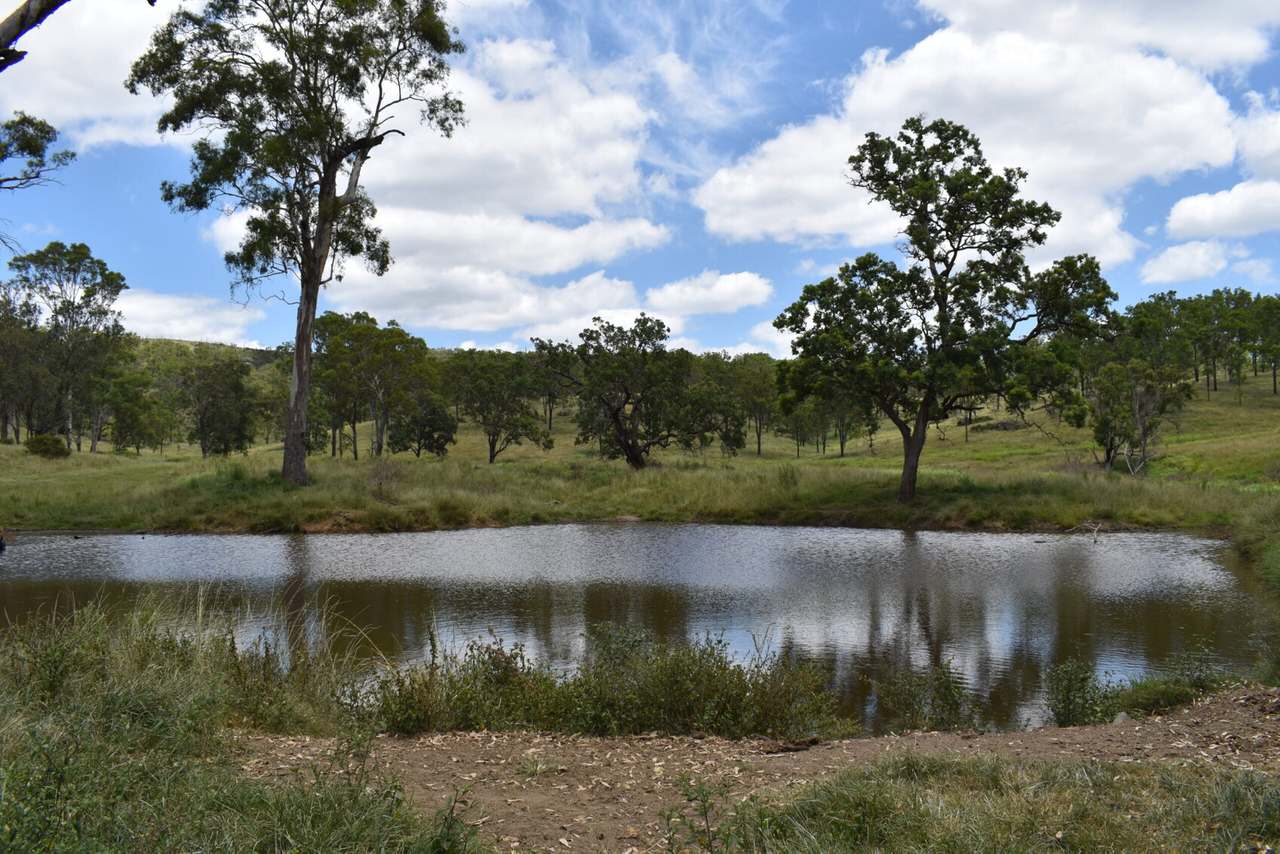 341 Sebastapool Road, Crows Nest For Sale by Farmbuy.com - image 10