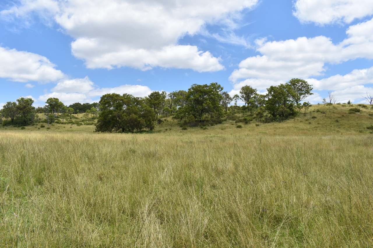 341 Sebastapool Road, Crows Nest For Sale by Farmbuy.com - image 16