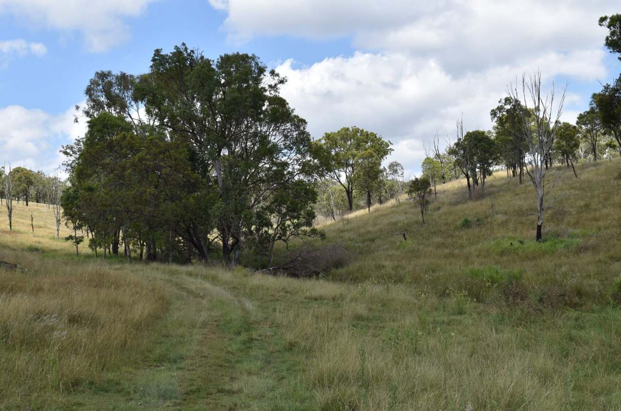 341 Sebastapool Road, Crows Nest For Sale by Farmbuy.com - image 21