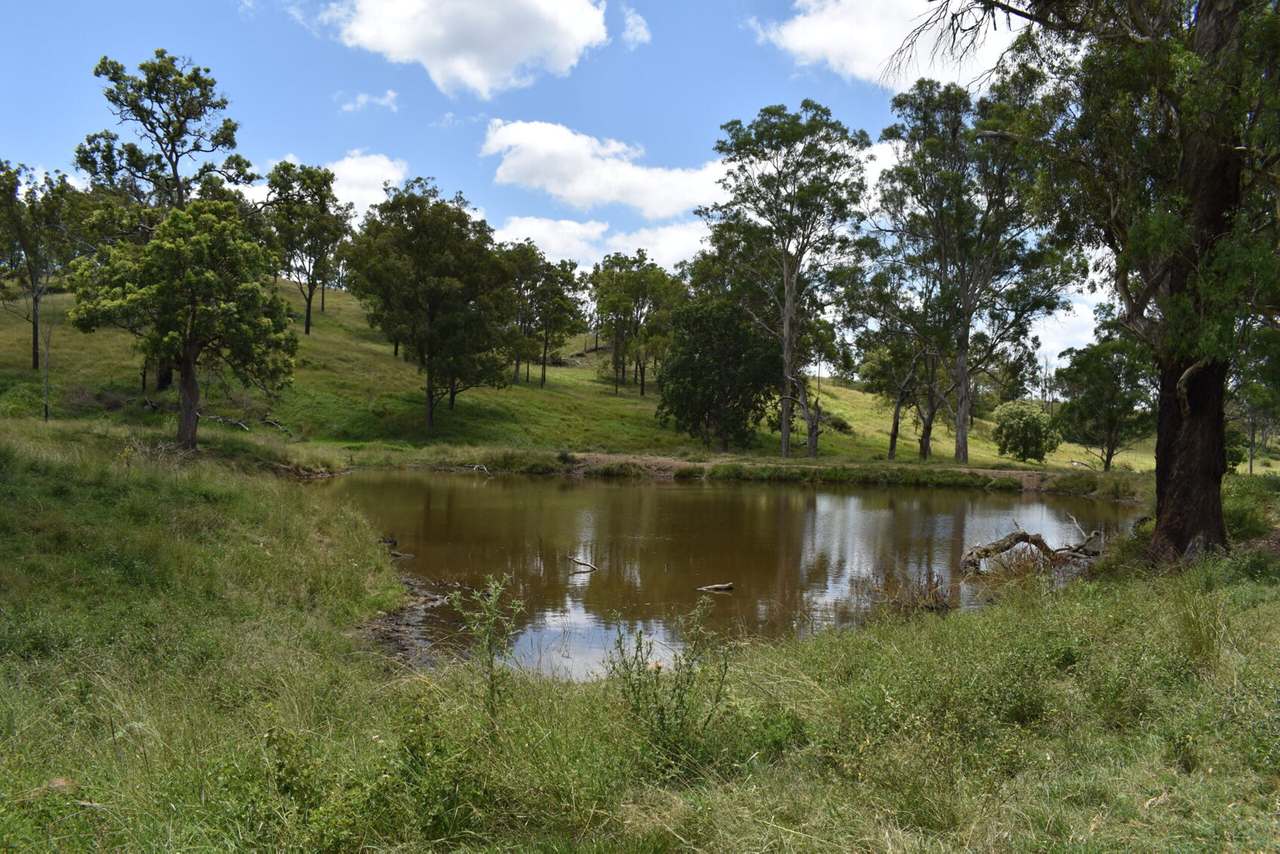 341 Sebastapool Road, Crows Nest For Sale by Farmbuy.com - image 8