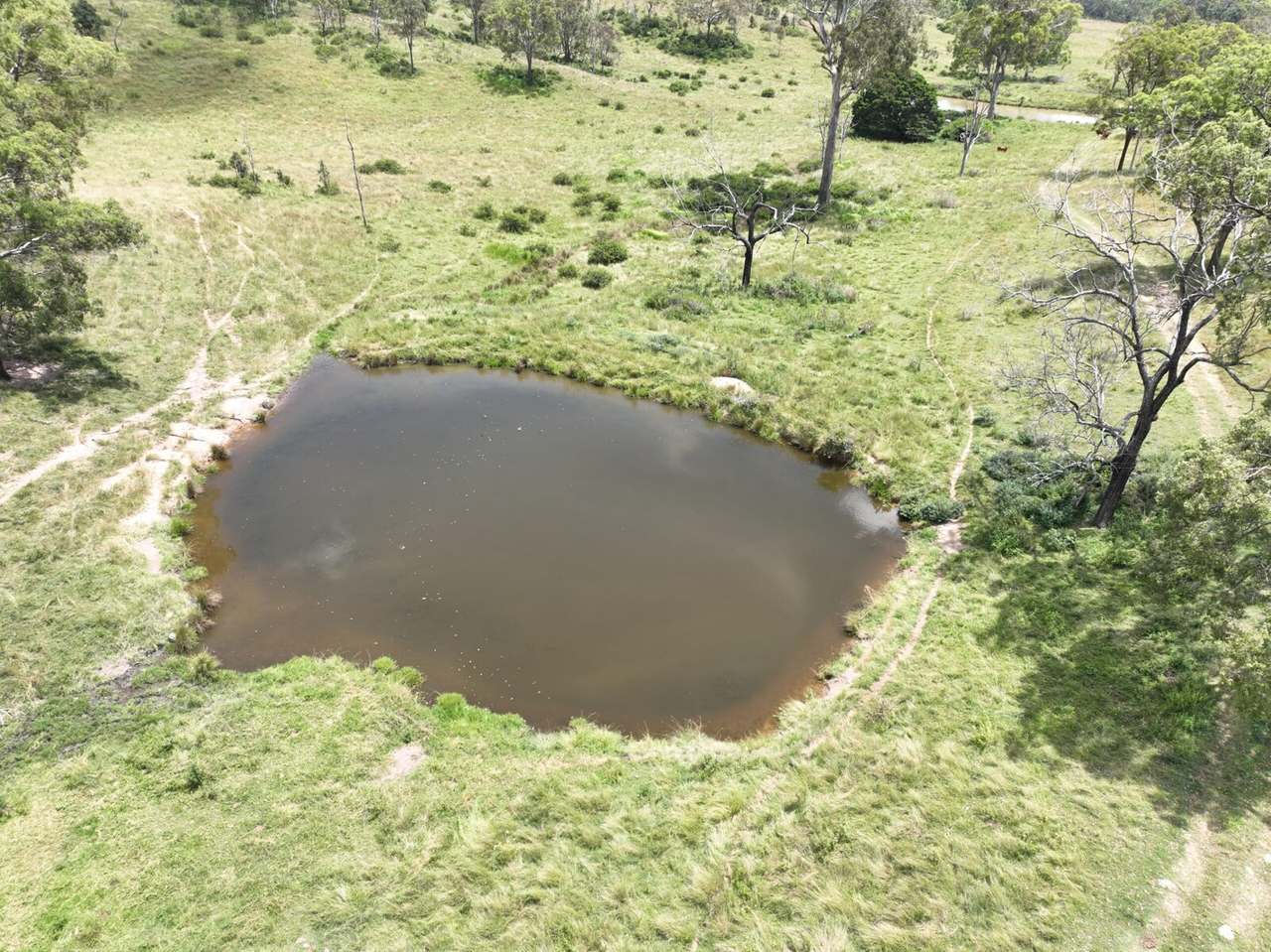 341 Sebastapool Road, Crows Nest For Sale by Farmbuy.com - image 25