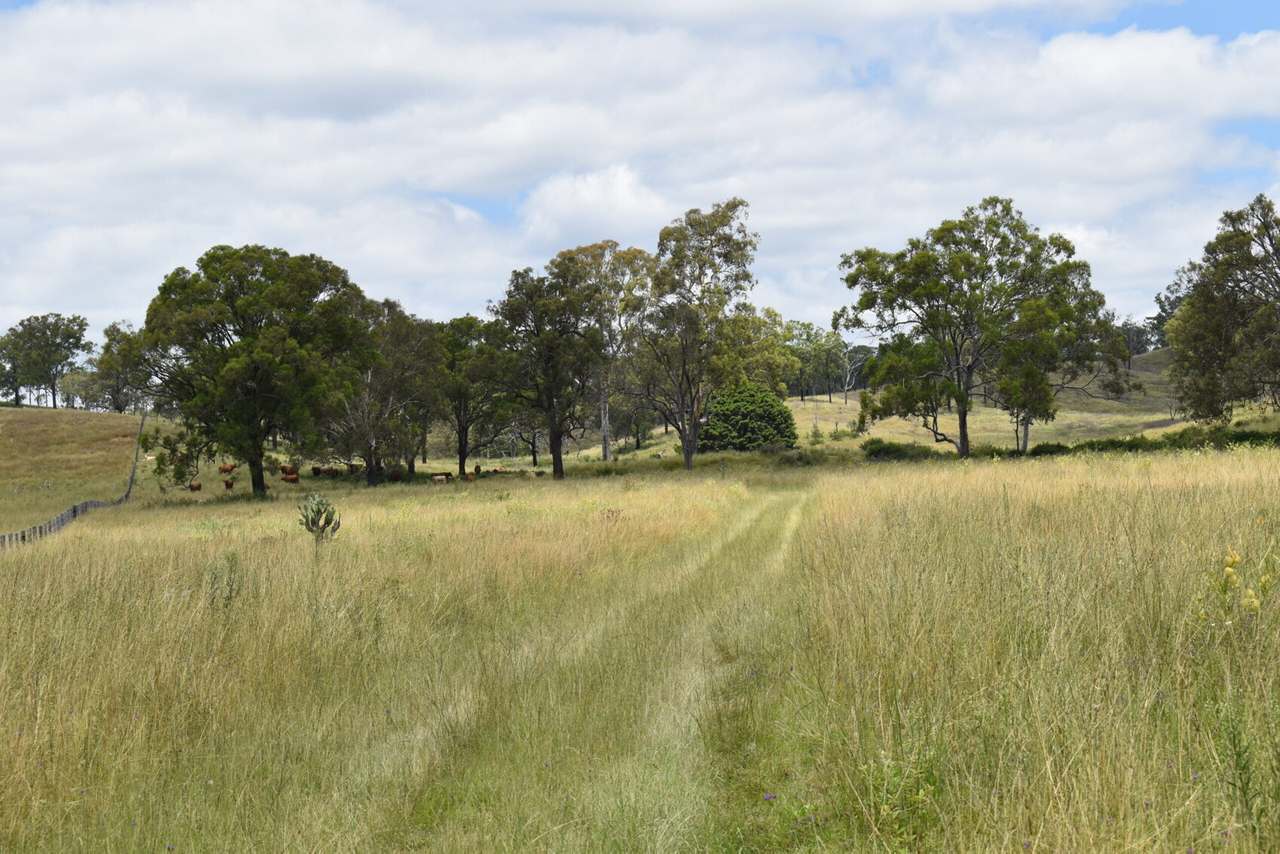 341 Sebastapool Road, Crows Nest For Sale by Farmbuy.com - image 19