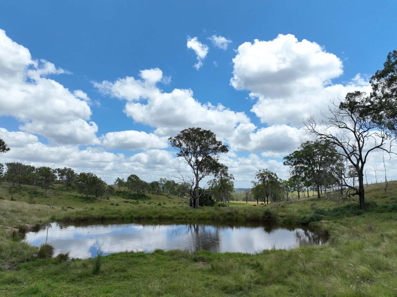 341 Sebastapool Road, Crows Nest For Sale by Farmbuy.com - image 24