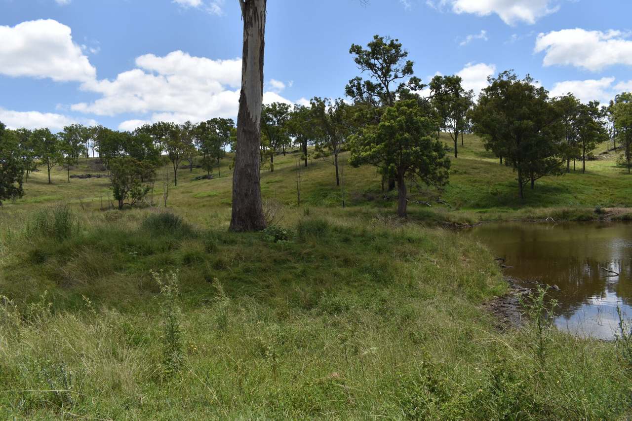 341 Sebastapool Road, Crows Nest For Sale by Farmbuy.com - image 9
