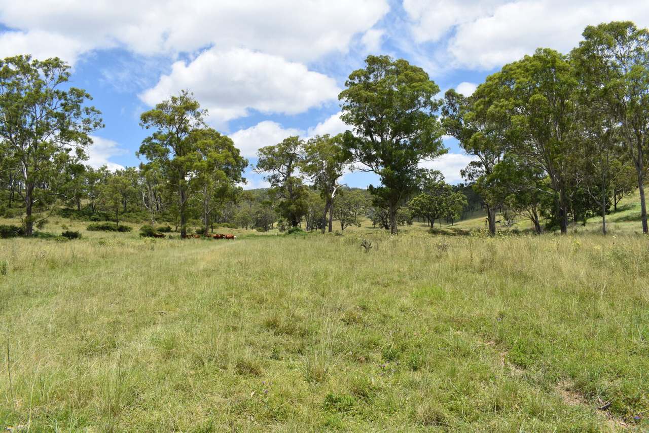 341 Sebastapool Road, Crows Nest For Sale by Farmbuy.com - image 7