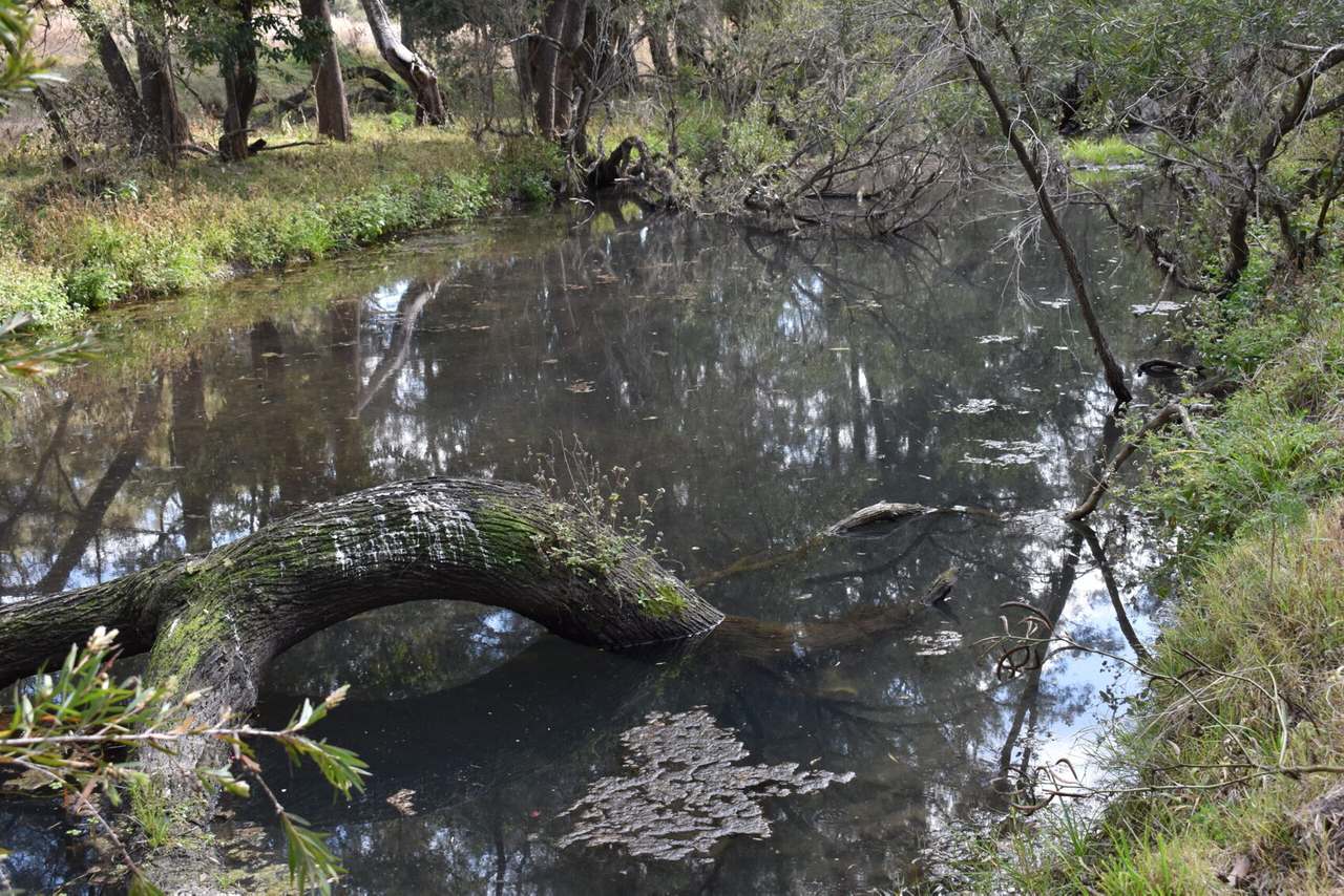 Squirrel Creek Road, Avoca Vale For Sale by Farmbuy.com - image 13