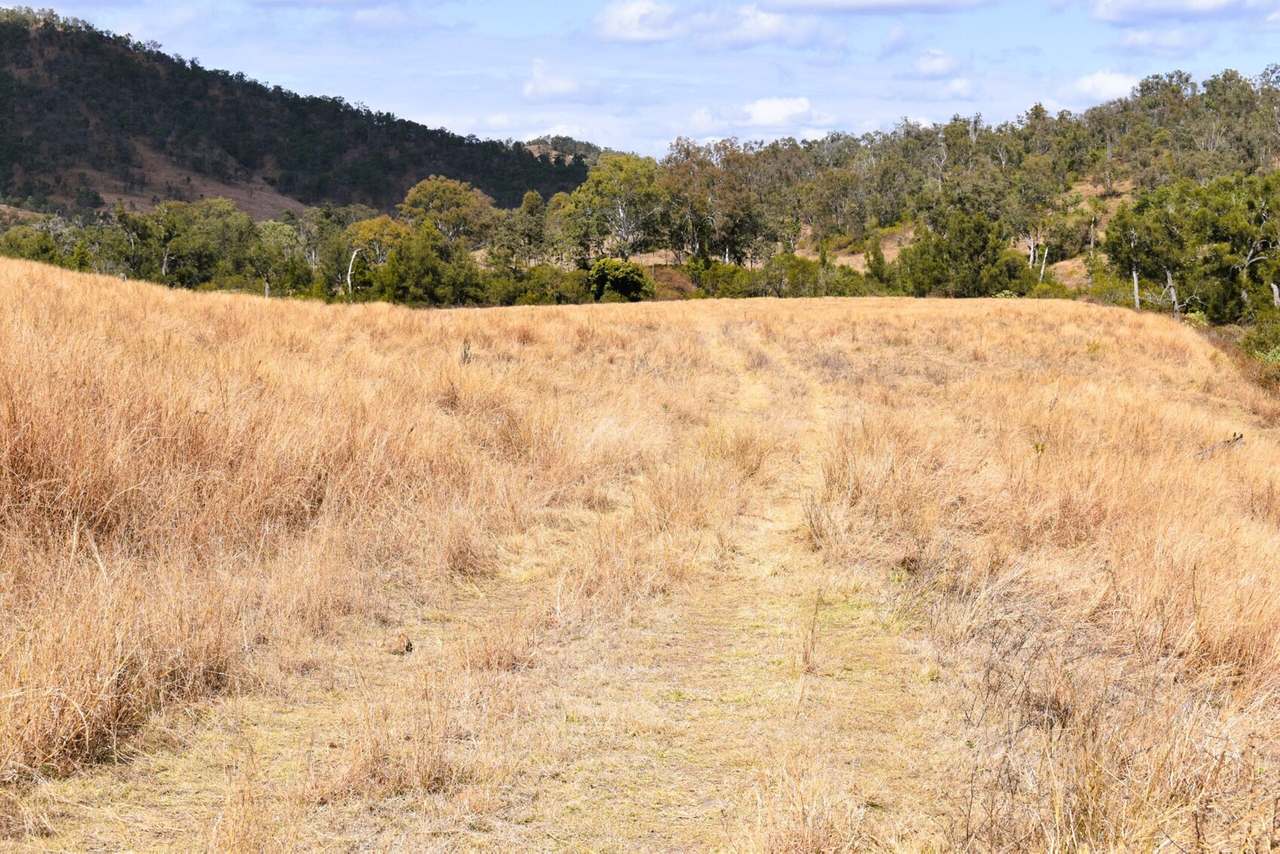 Squirrel Creek Road, Avoca Vale For Sale by Farmbuy.com - image 15
