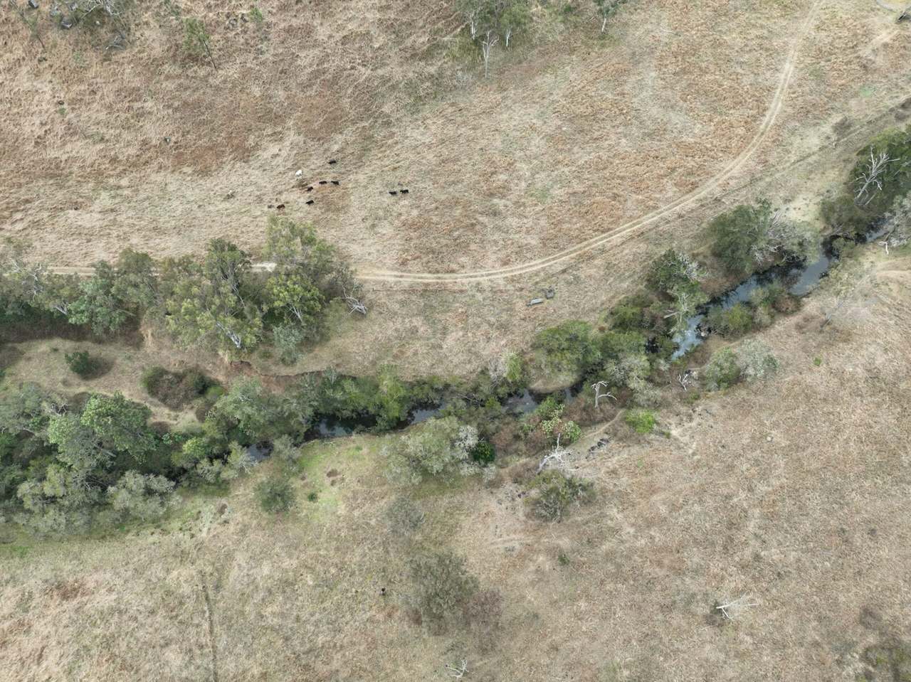 Squirrel Creek Road, Avoca Vale For Sale by Farmbuy.com - image 5
