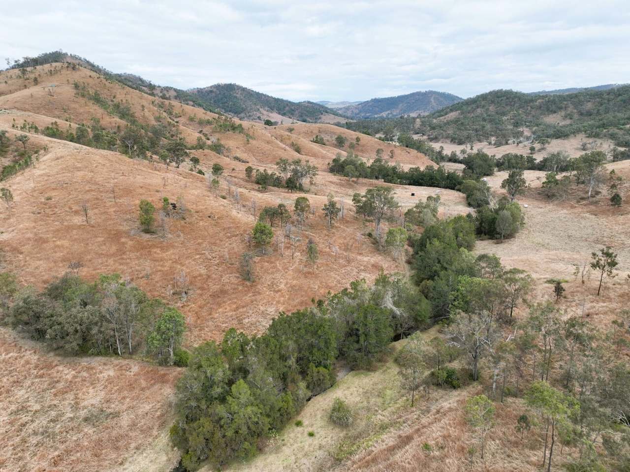 Squirrel Creek Road, Avoca Vale For Sale by Farmbuy.com - image 11