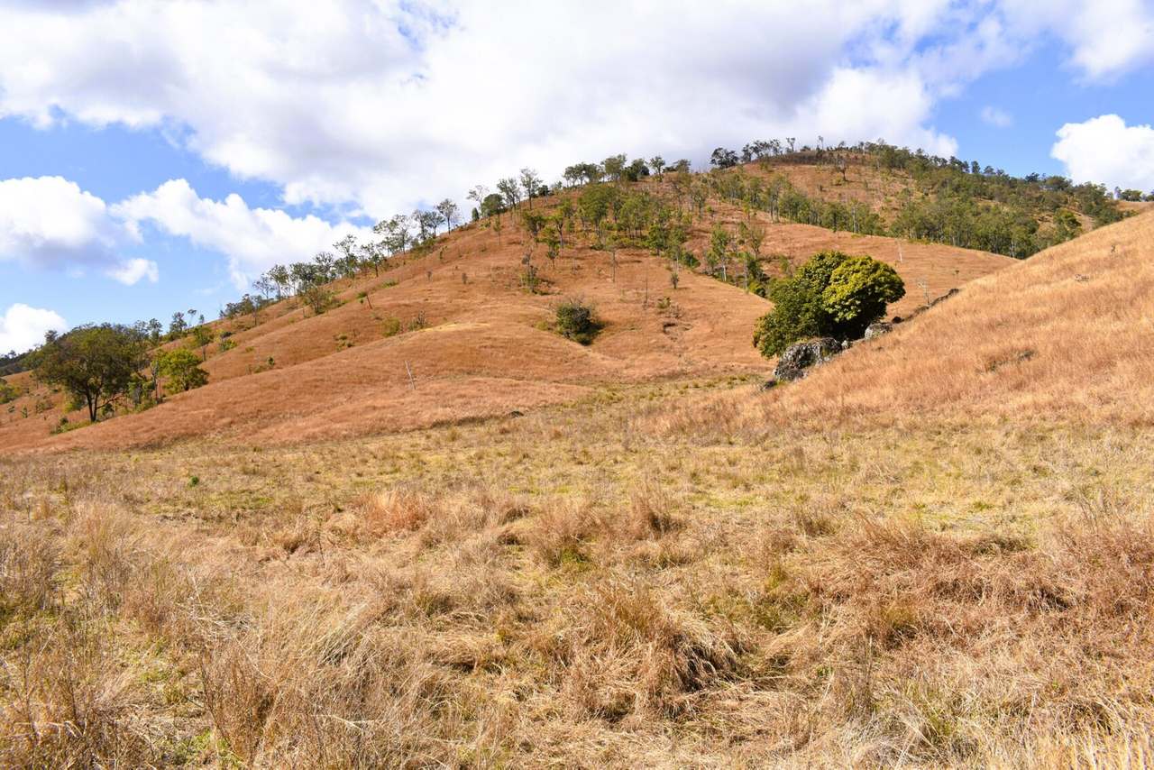 Squirrel Creek Road, Avoca Vale For Sale by Farmbuy.com - image 17