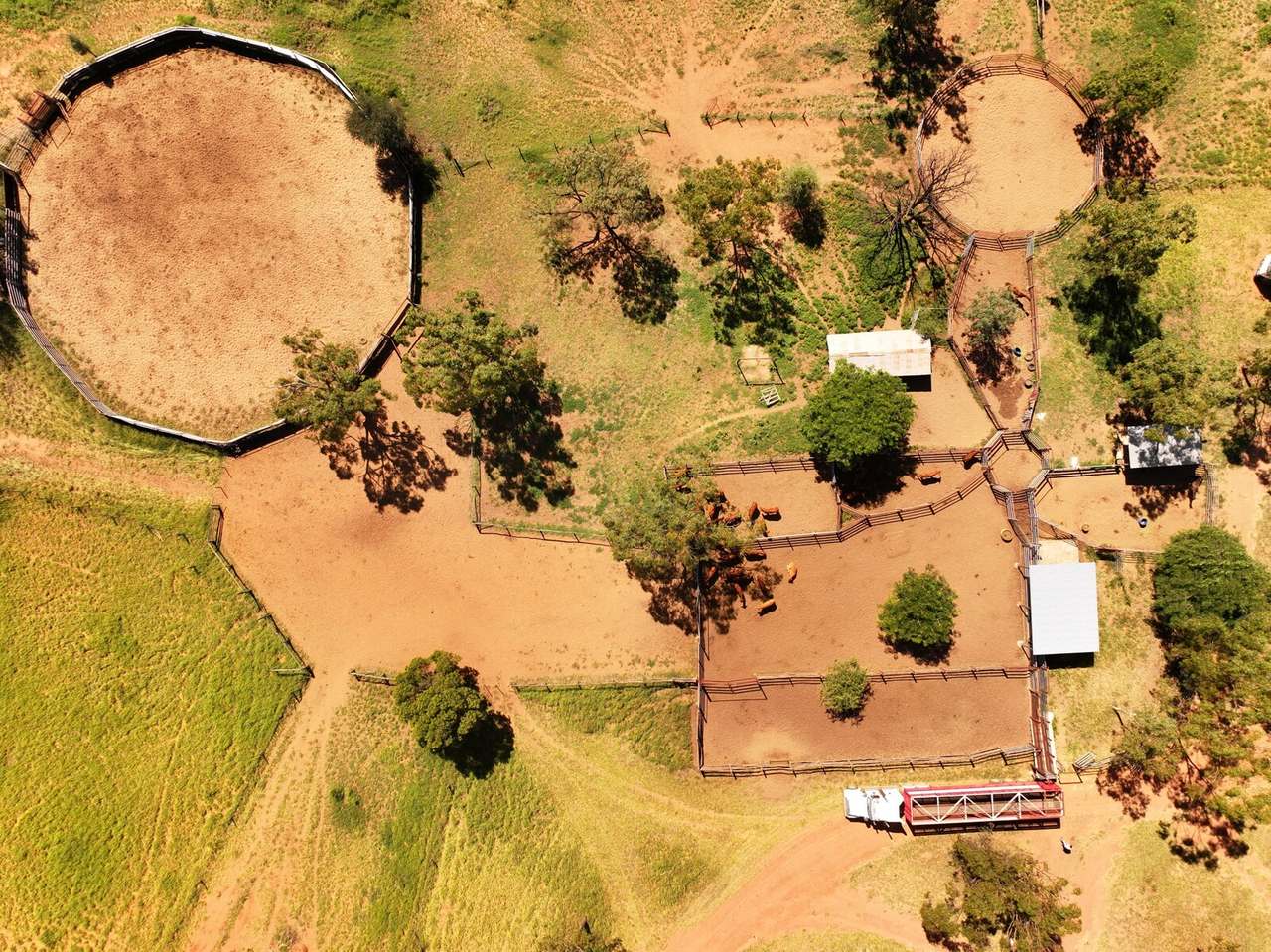 9089-9096 Kilcummin-Diamond Downs Road, Pasha Sold by Farmbuy.com - image 3