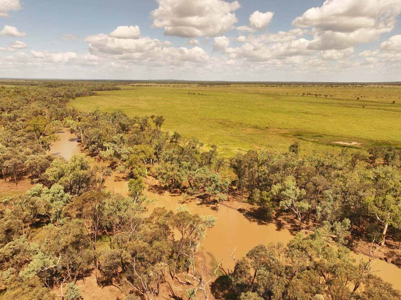 9089-9096 Kilcummin-Diamond Downs Road, Pasha Sold by Farmbuy.com - image 8