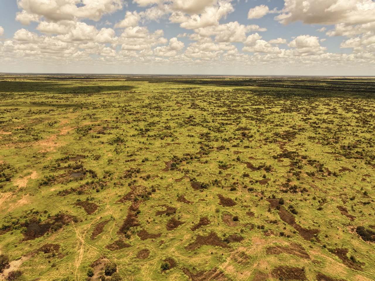 9089-9096 Kilcummin-Diamond Downs Road, Pasha Sold by Farmbuy.com - image 11