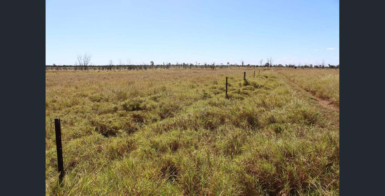 5733 Gregory Highway, Emerald Auction by Farmbuy.com - image 14