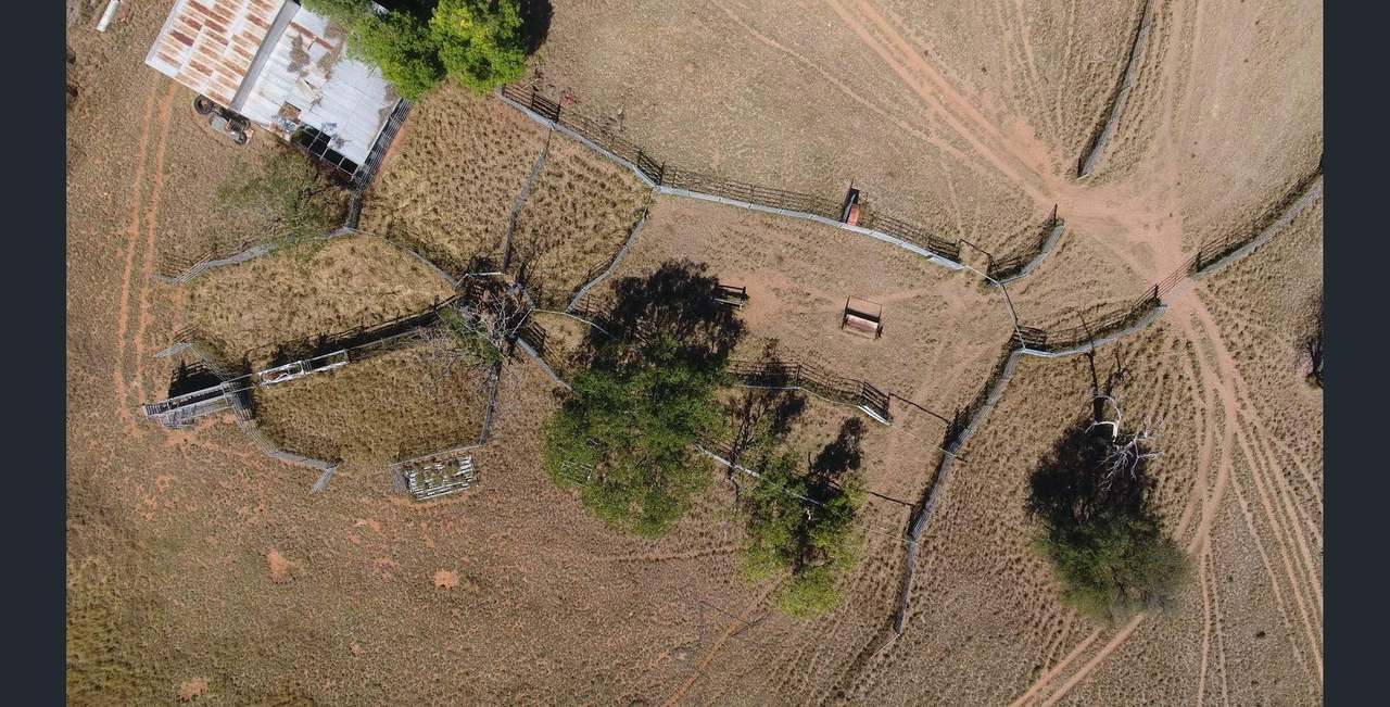 5733 Gregory Highway, Emerald Auction by Farmbuy.com - image 17
