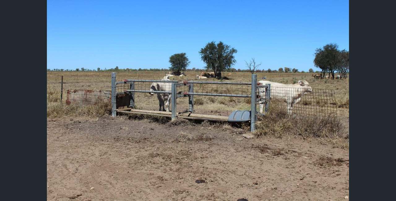 5733 Gregory Highway, Emerald Auction by Farmbuy.com - image 11