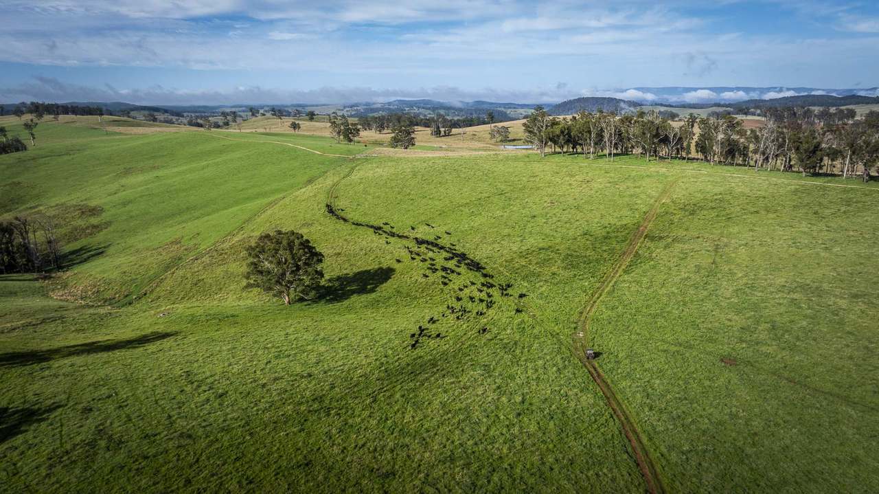 2697 Kangaroo Flat Road, Yarrowitch Tender by Farmbuy.com - image 3