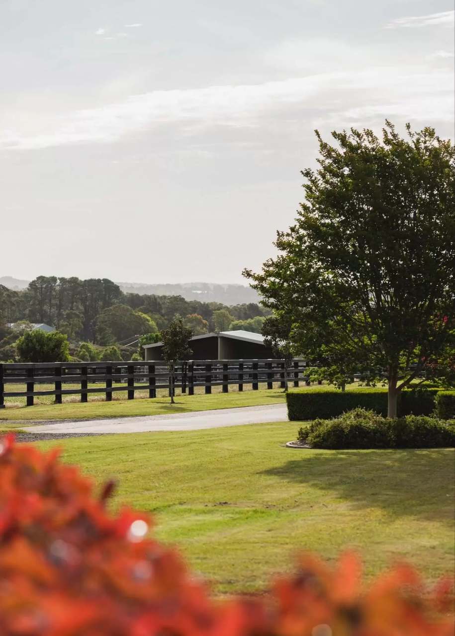 691 Wisemans Ferry Road, Somersby Auction by Farmbuy.com - image 15