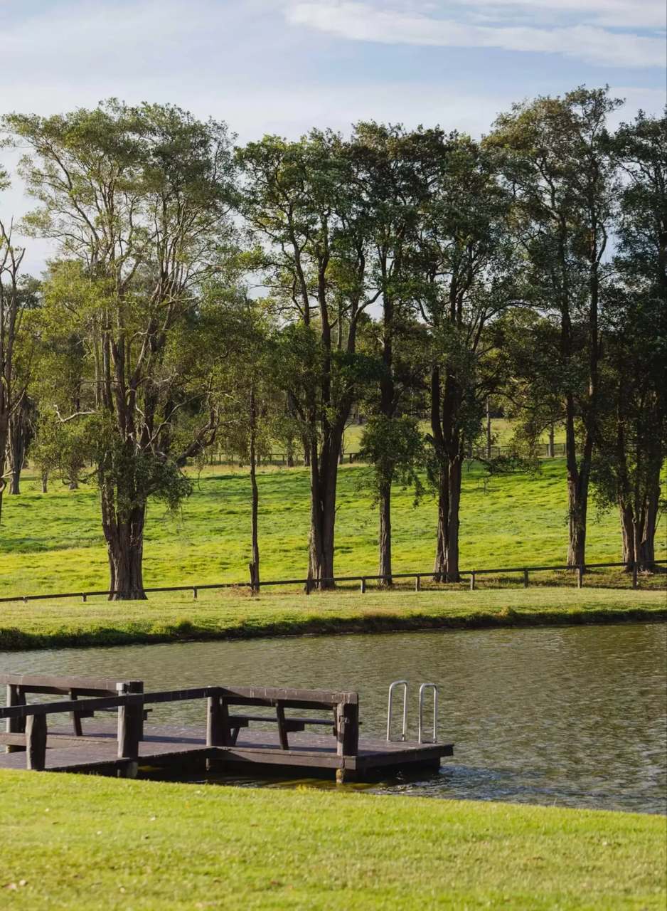 691 Wisemans Ferry Road, Somersby Auction by Farmbuy.com - image 14