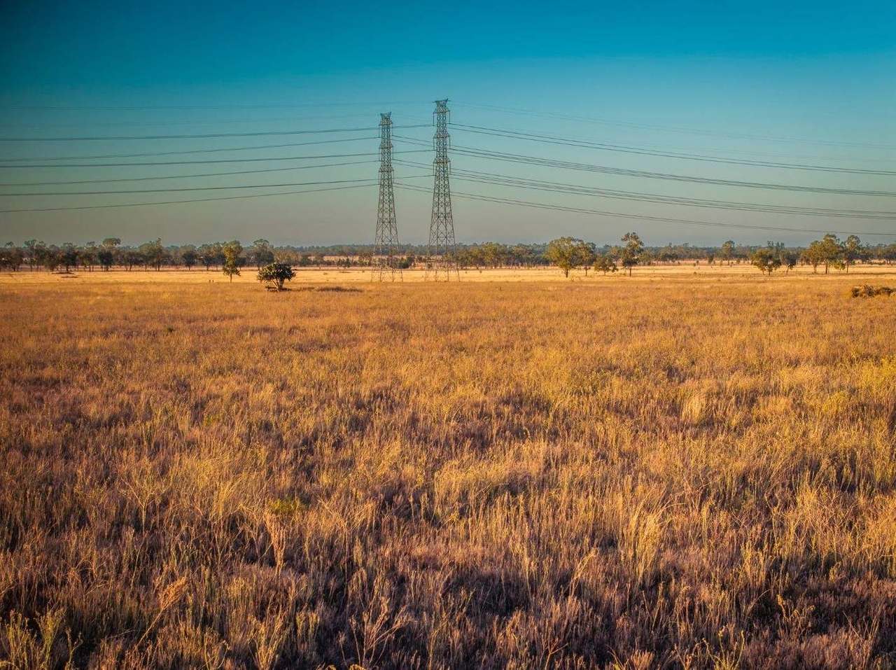 FOR LEASE, Darling Downs, Cooranga For Sale by Farmbuy.com - image 3