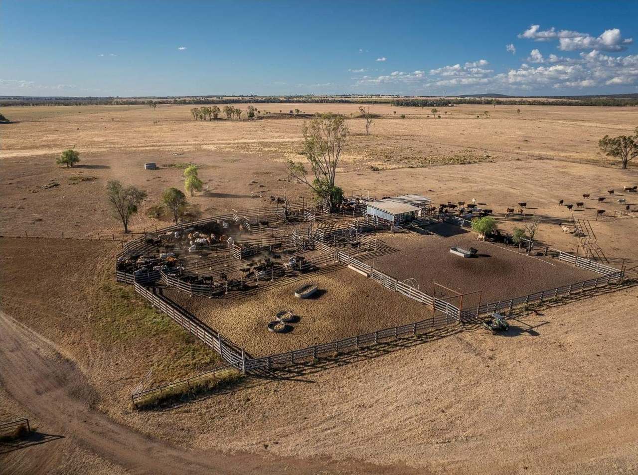 FOR LEASE, Darling Downs, Cooranga For Sale by Farmbuy.com - image 16
