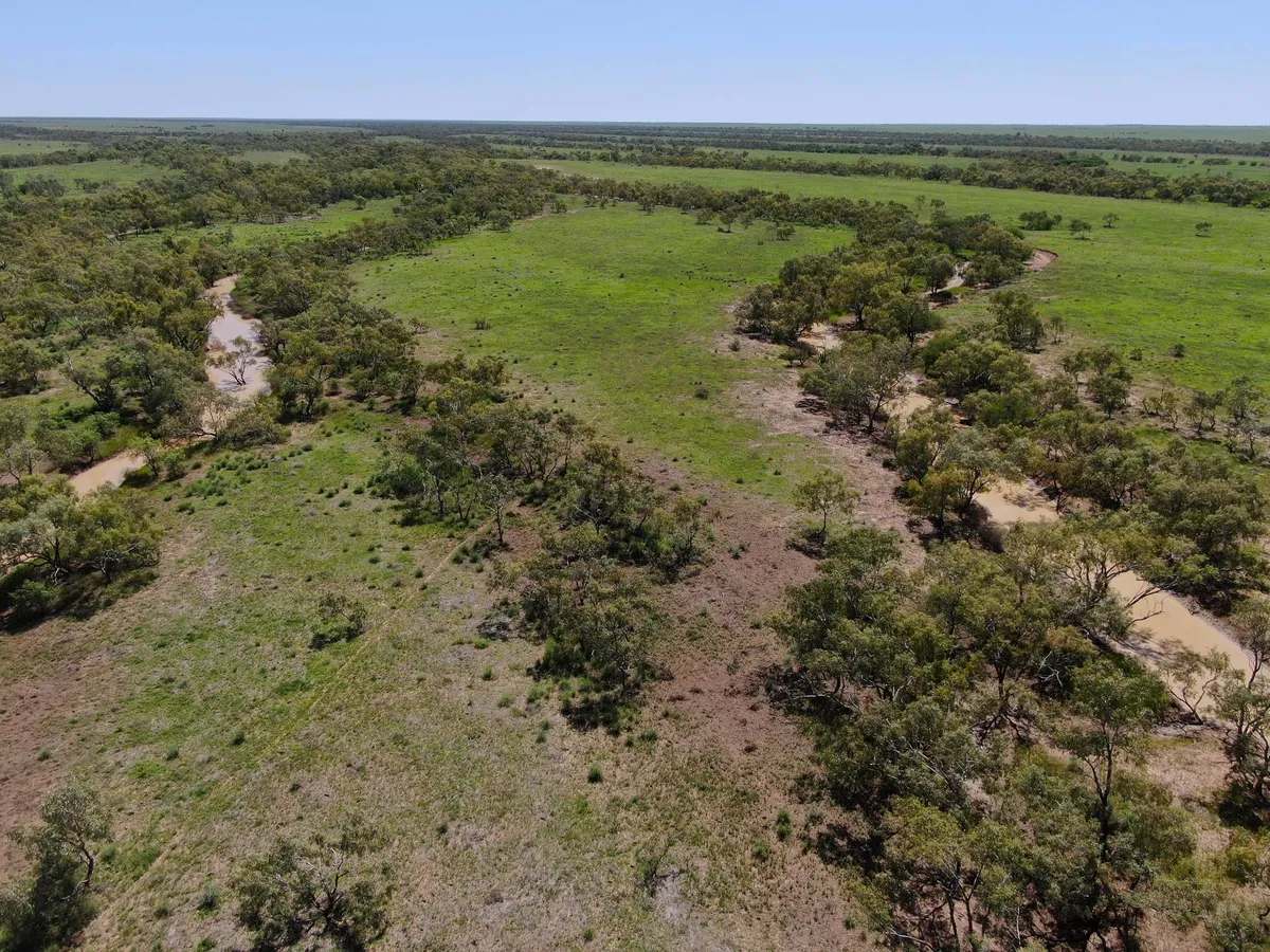 “Randwick” , Winton Sold by Farmbuy.com - image 14