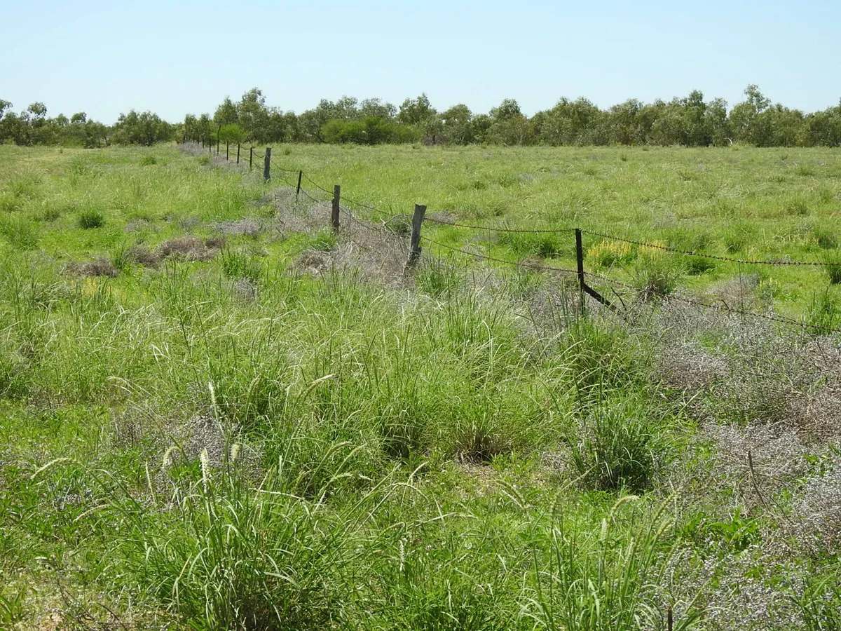 “Randwick” , Winton Sold by Farmbuy.com - image 21