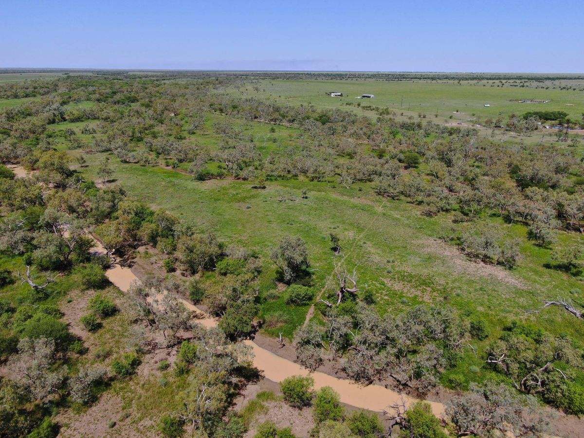 “Randwick” , Winton Sold by Farmbuy.com - image 3