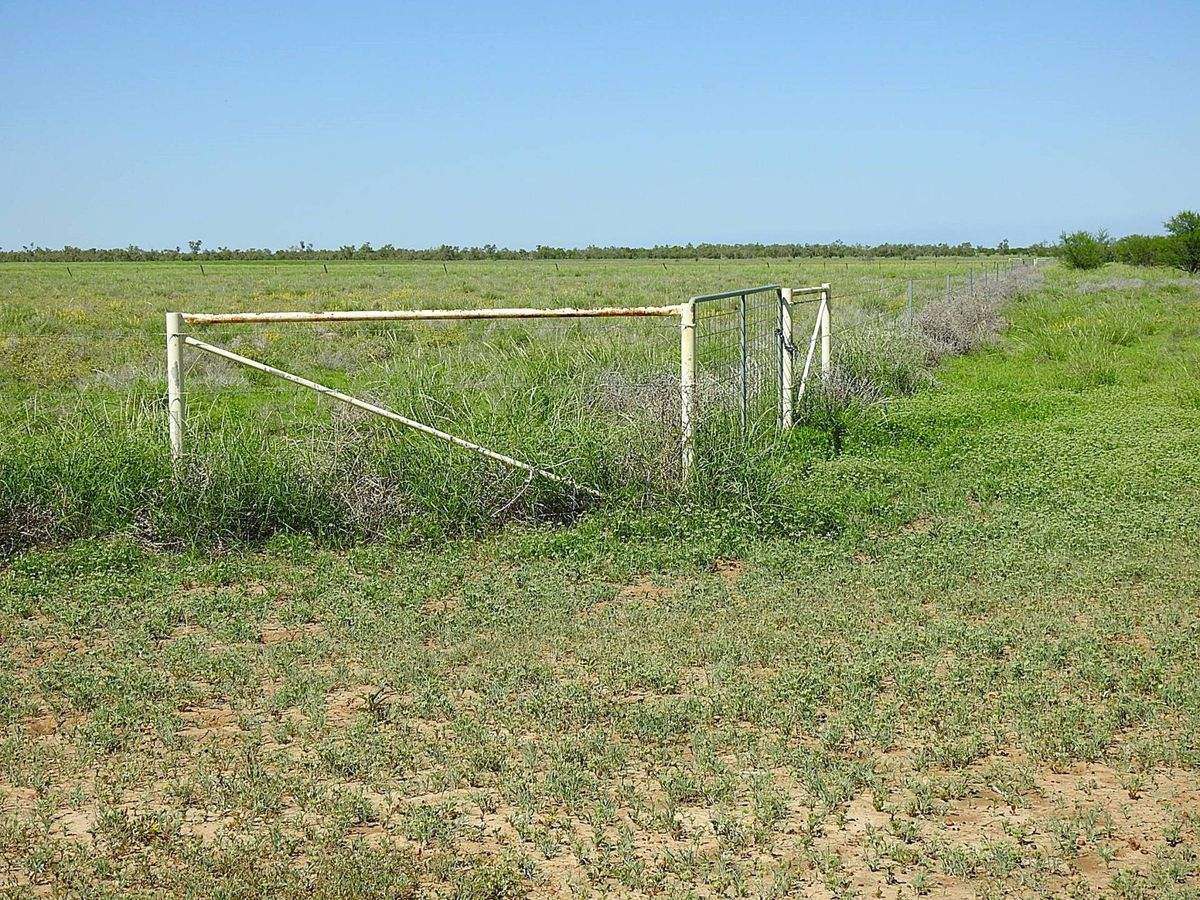 “Randwick” , Winton Sold by Farmbuy.com - image 18