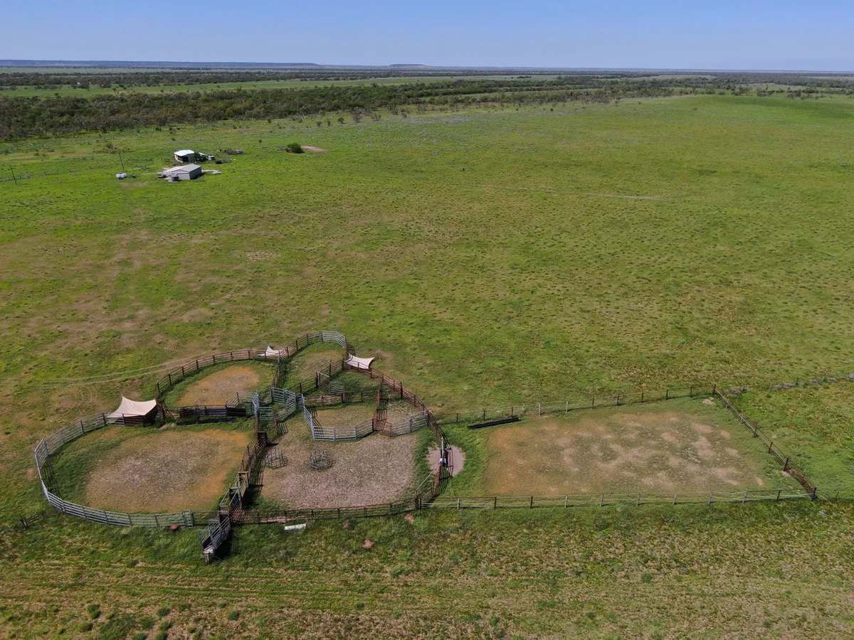 “Randwick” , Winton Sold by Farmbuy.com - image 7