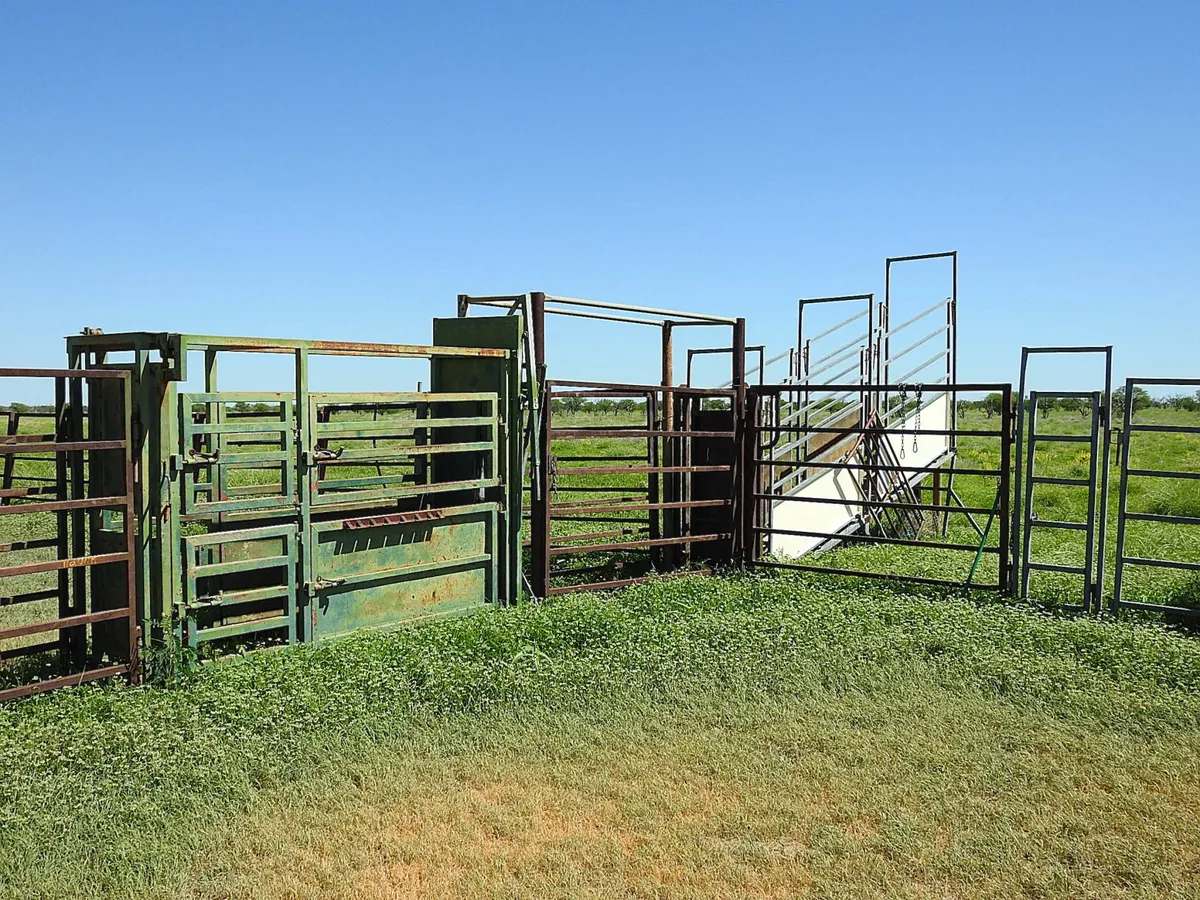 “Randwick” , Winton Sold by Farmbuy.com - image 19