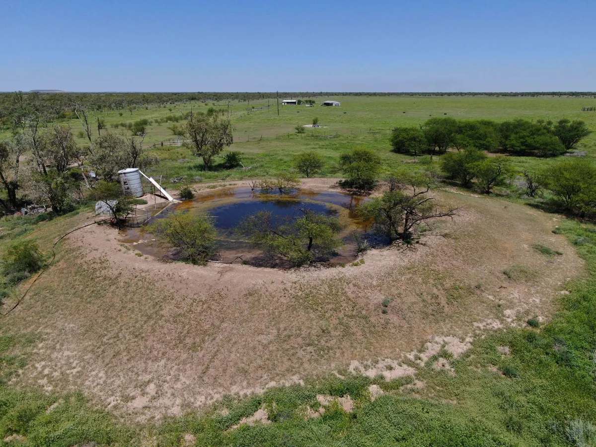“Randwick” , Winton Sold by Farmbuy.com - image 15